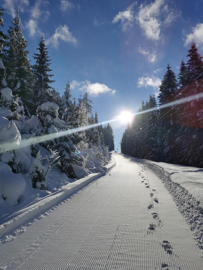 Landhaus St. Georg Sankt Martin am Tennengebirge Bagian luar foto