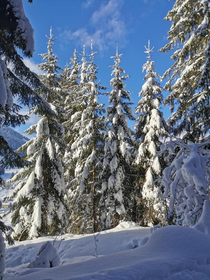 Landhaus St. Georg Sankt Martin am Tennengebirge Bagian luar foto